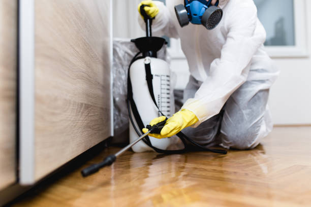 Best Best Pest Control Companies  in South Point, OH