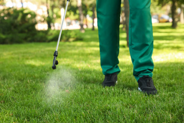 Best Wasp Removal Services  in South Point, OH